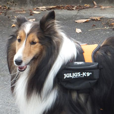 ユニバーサルIDCサイドバッグ