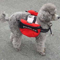 ユニバーサルIDCサイドバッグ レッド