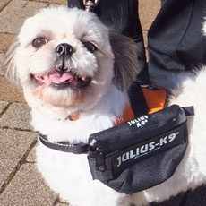 ユニバーサルIDCサイドバッグ