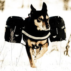 ユニバーサルIDCサイドバッグ