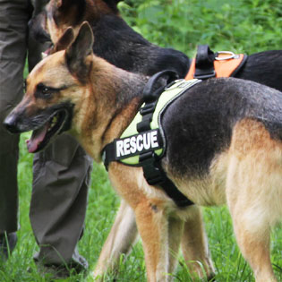 ラキスラティス　オンラインストアー