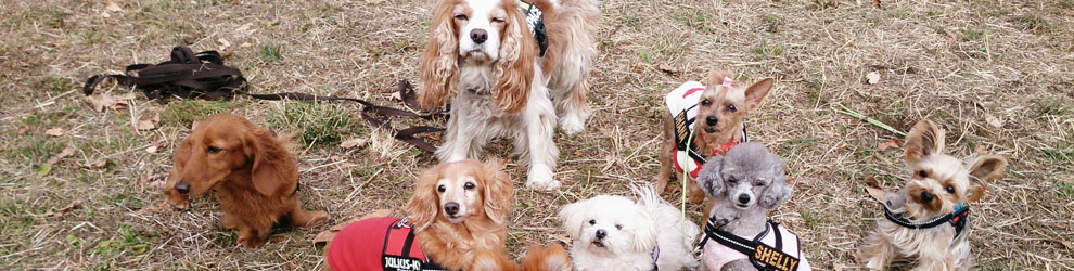 Lakis Latis - IDC Caoutchouc