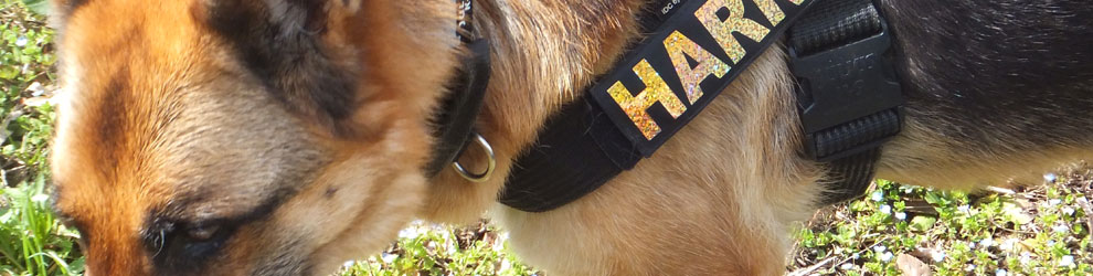 Lakis Latis - Belt Harness