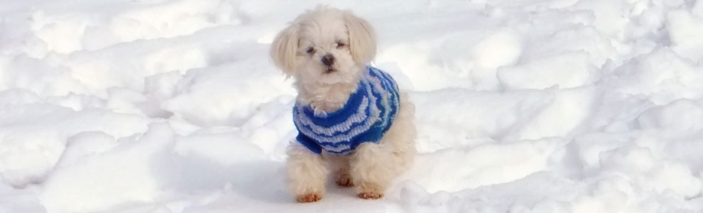 Lakis Latis - Power Harness