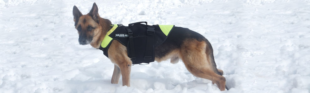 Lakis Latis - ESCAPE