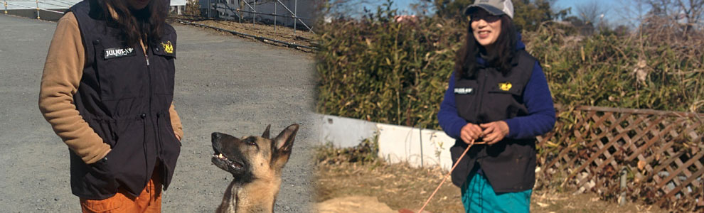 Lakis Latis - Power Harness