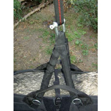 ラキスラティス