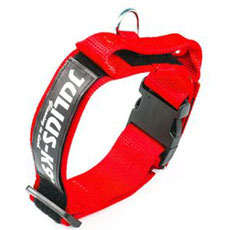 Julius K9 首輪 赤