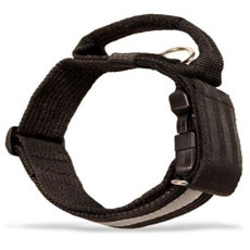 ソフトナイロン蛍光首輪