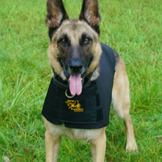 ラキスラティス