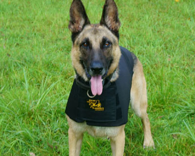 ラキスラティス　オンラインストアー