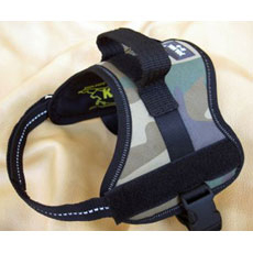 Julius K9 (Lakis Latis)