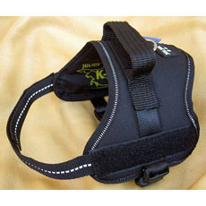 Power Harness Black