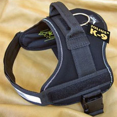 Power Harness Black
