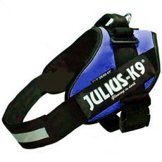 Power Harness ブルー