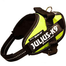 IDC powerharness Neon Mini