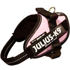 Power Harness ピンク