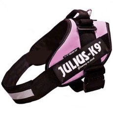 Power Harness ピンク