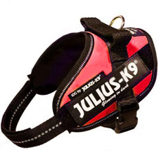 Power Harness レッド