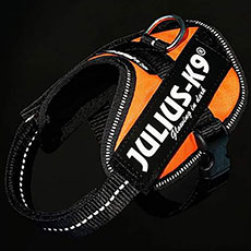 Power Harness ネオンオレンジ