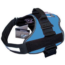 Power Harness アクアマリーン